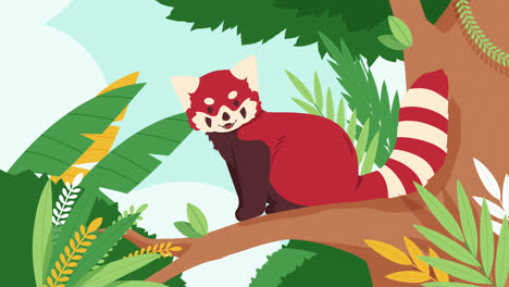 red panda in a tree