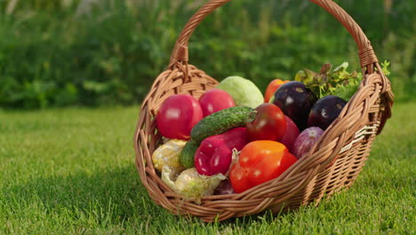 basket of fresh vegetables