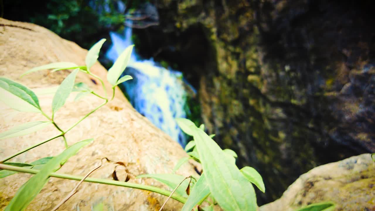 очень красивый водопад с солнечным светом, проходящим через листья деревьев в алжире