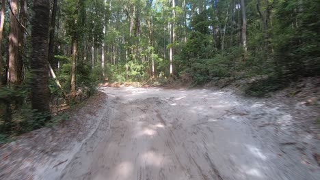 rear facing driving point of view pov travelling along a rutted sandy inland track in the jungle, surrounded by thick bushland with tall trees - ideal for interior car scene green screen replacement