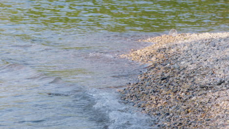 crashing waves at a stony lakeshore