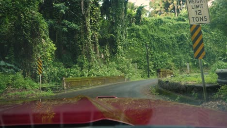 Driving-slowly-across-an-old-stone-bridge-with-hanging-jungle-vegetation-and-walls-of-climbing-plants-all-around-the-edge-of-the-tarmac-bitumen-road