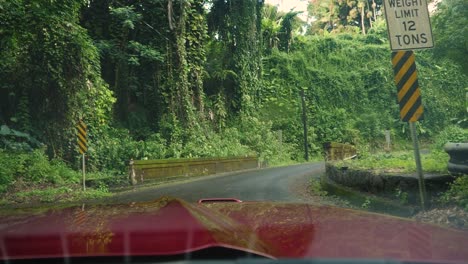 driving slowly across an old stone bridge with hanging jungle vegetation and walls of climbing plants all around the edge of the tarmac bitumen road