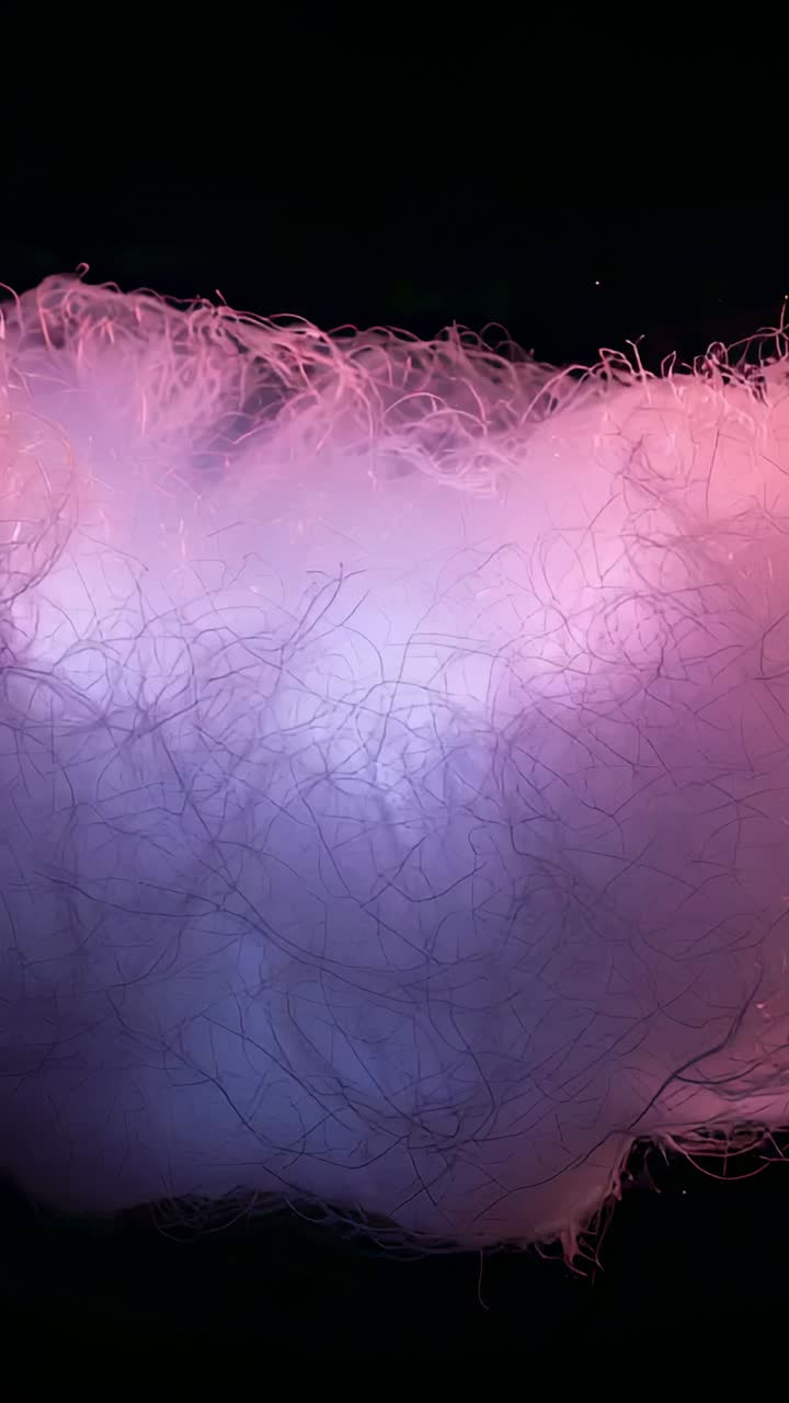 Vertical video: Panning shot showing candy tuft lit pink blue in dark studio, showing wispy texture