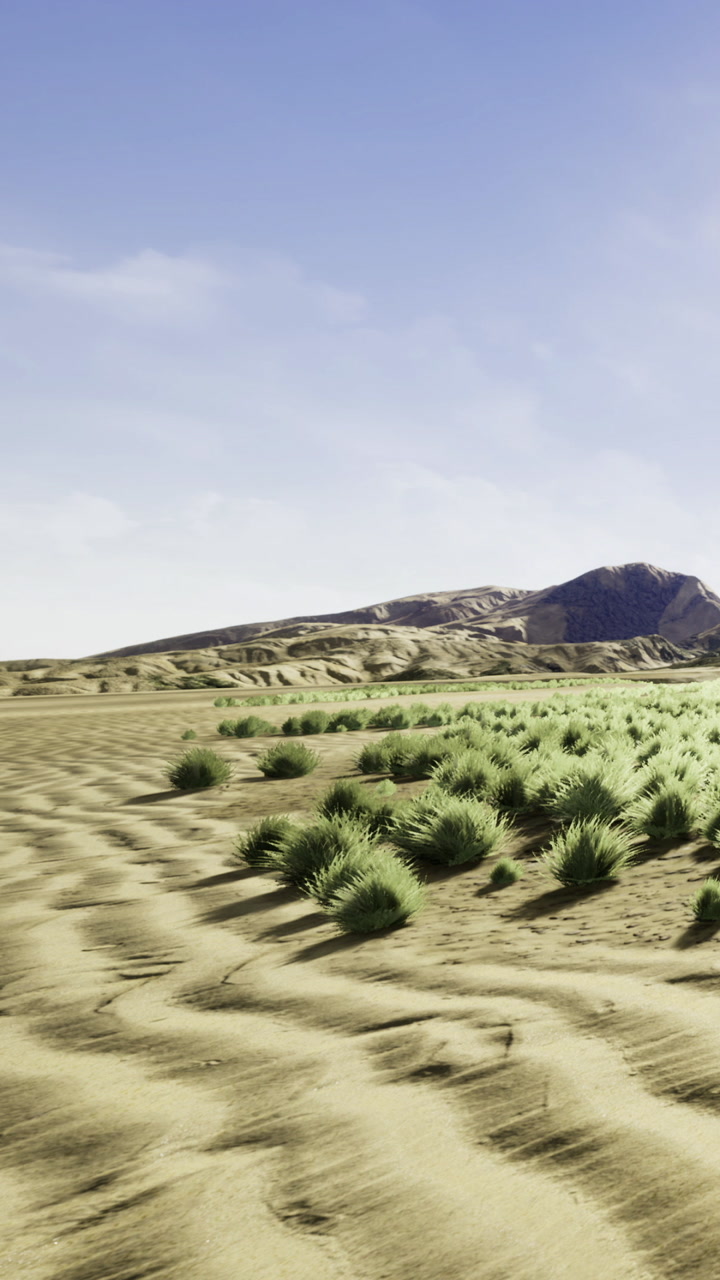 Scenic view of desert landscape with sand dunes and vegetation during daytime