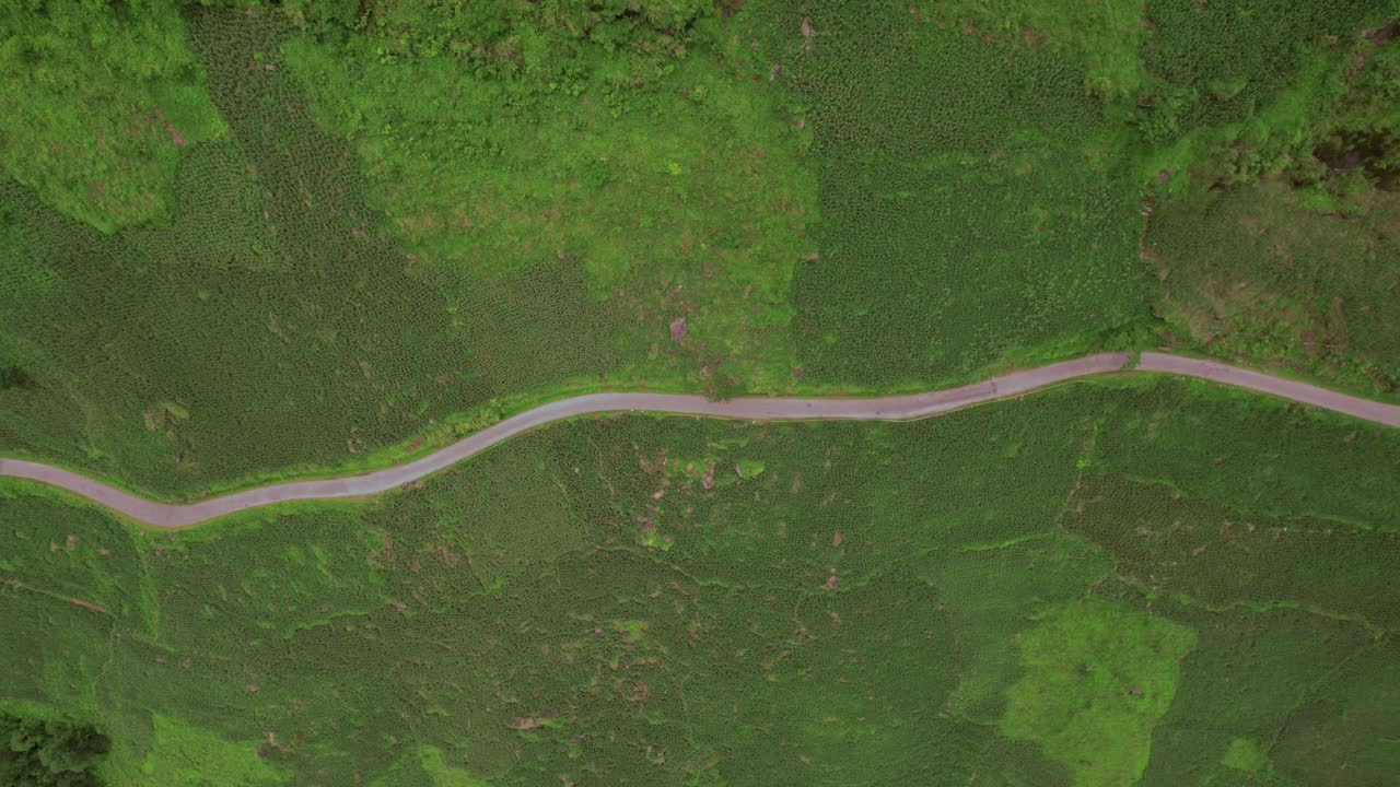 zoom en el camino en el desierto