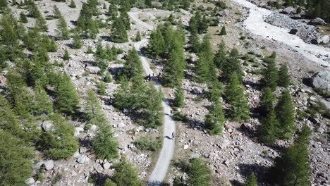 Tannenwald-Und-Schotterweg-In-Den-Schweizer-Alpen,-Drohnenluftbild,-Wanderer-Und-Radfahrer-In-Der-Natur