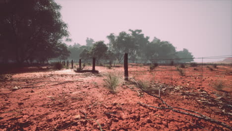 Old-rural-barbed-wire-fence-with-wooden-posts