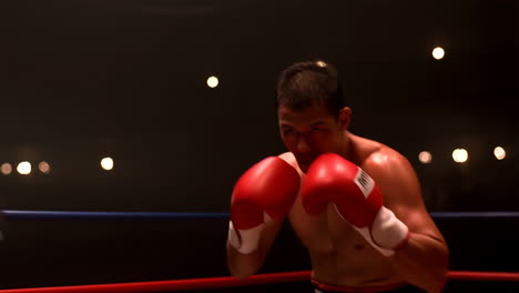 boxer training and punching in a ring