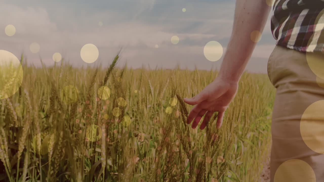 초원에서  ⁇ 고 있는 백인 남성 위에 있는 빛의 반점의 애니메이션