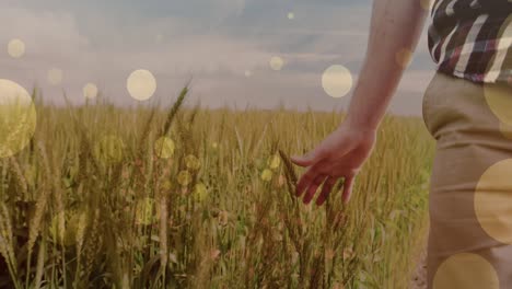 Animation-of-light-spots-over-caucasian-man-walking-on-meadow