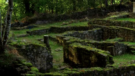 ancient stone ruins overgrown with moss in a forest