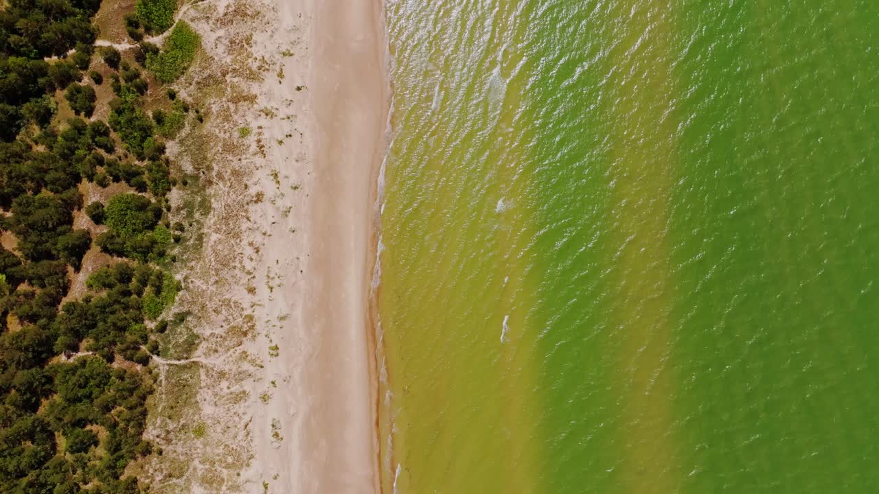 Top-down aerial of Pērkone shows warm coast, green sea tones, and forest border