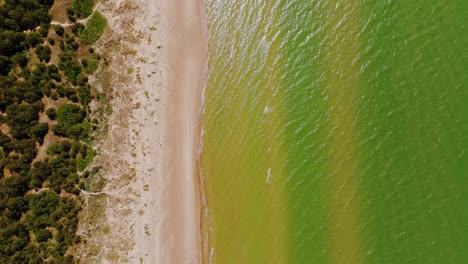 top-down aerial of pērkone shows warm coast, green sea tones, and forest border