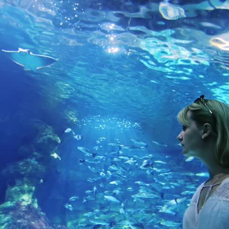 a woman admires the underwater world in an aquarium 1