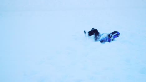 Niño-Despreocupado-Jugando-En-La-Nieve.-Diversión-De-Invierno-Juego-De-Nieve