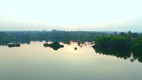 drone shot top angle view panoramic video of coconut farm trees coastal area coastline tropical country india kerala natural scenery backwaters lagoon
