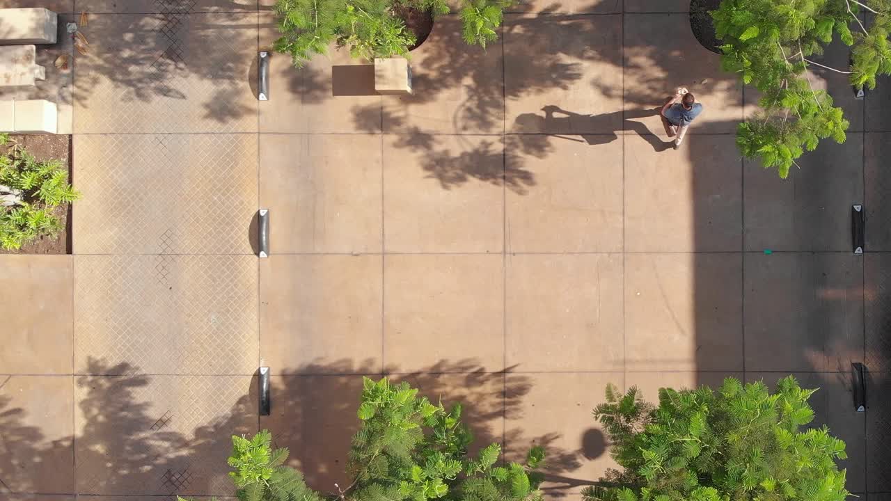 vista de arriba hacia abajo de una zona residencial con ramas de árboles y un hombre caminando en un clima soleado - toma aérea de drones
