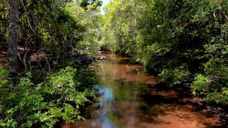 Vista-De-Drones-Del-Río-Con-Bosque-Ribereño-Protegido