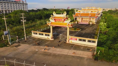 Drone-Footage:-A-Dozen-Dogs-Walk-in-front-of-a-Buddhist-Temple-at-Dawn,-Korat-province,-Thailand,-Asia