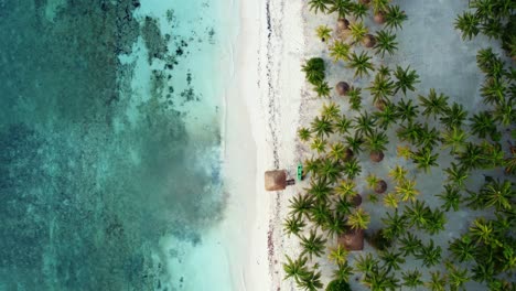 aerial bird's eye drone view of a beautiful tropical vacation beach with crystal clear blue water, white sand, palm trees, and a kayak and lifeguard tower in riviera maya, mexico near cancun