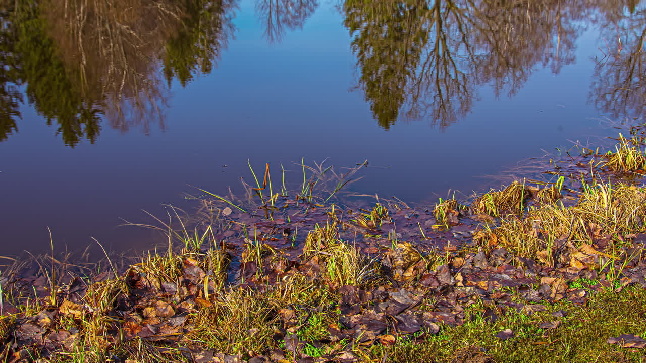 el hielo en el estanque se derrite en primavera - lapso de tiempo