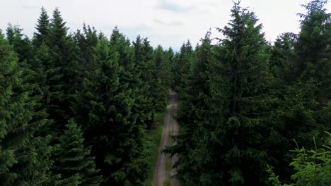 drone view as it flies between the trees and above the road on the mountains with the valley in the background