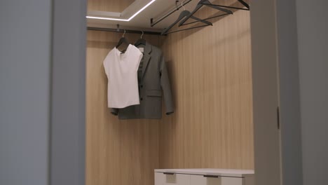 dressing room with shelves. modern wardrobe with bright dressing room