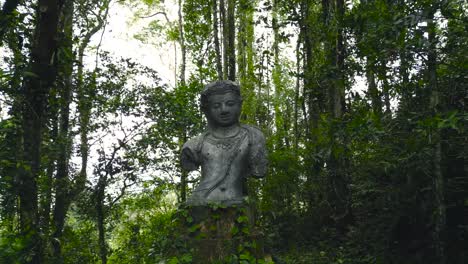 estatua de buda budismo naturaleza religión, lugar espiritual en la selva, selva tropical lugar sagrado