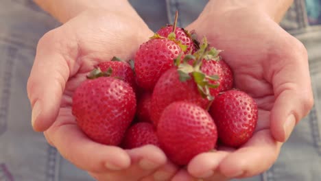 woman showing her organic strawberries