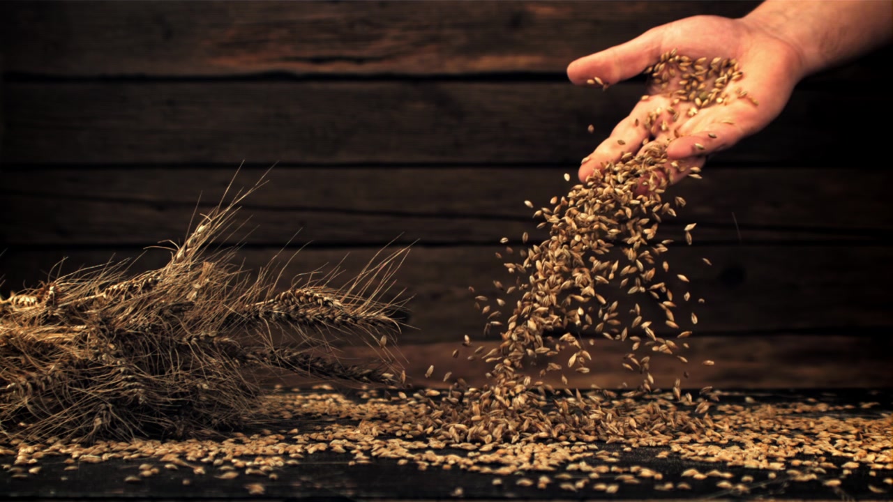 Mano che versa chicchi di grano su un tavolo di legno rustico in slow motion
