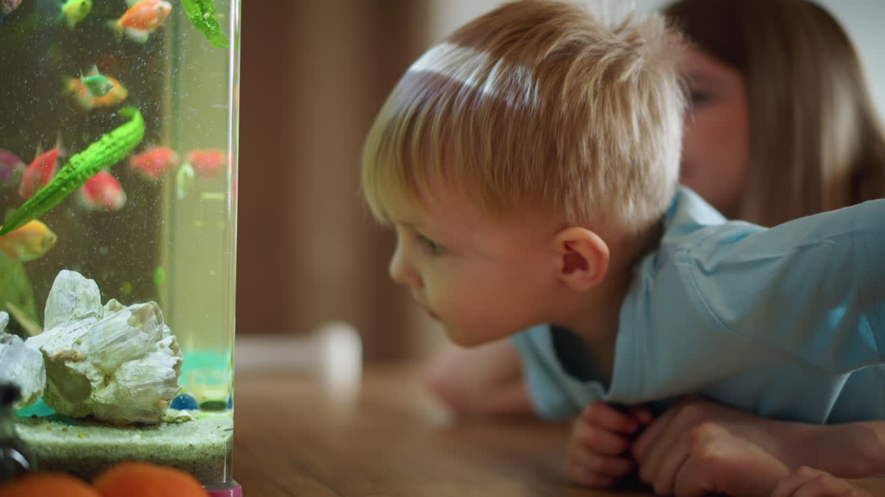 Curious blonde boy in blue shirt leans closely toward aquarium glass watching colorful fish swim, showing fascination and concentration while woman sits blurred in background sharing quiet moment at home
