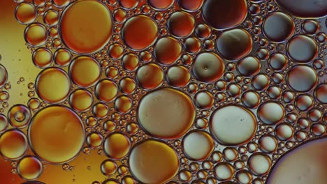 abstract colorful food oil drops bubbles and spheres flowing