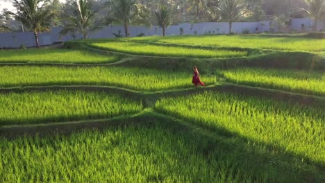 Una-Mujer-Con-Un-Vestido-Rojo-Caminando-En-Una-Terraza-De-Arroz-Explorando-El-Paisaje-Cultural-En-Vacaciones-Exóticas-A-Través-De-Bali-Indonesia