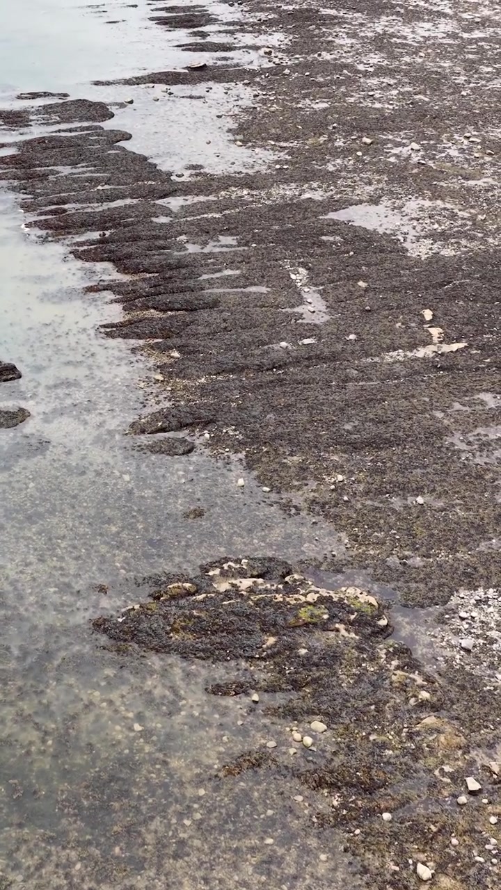 La cámara se desplaza lentamente por una costa rocosa texturizada, revelando pozas de marea bajo la luz natural de un día nublado