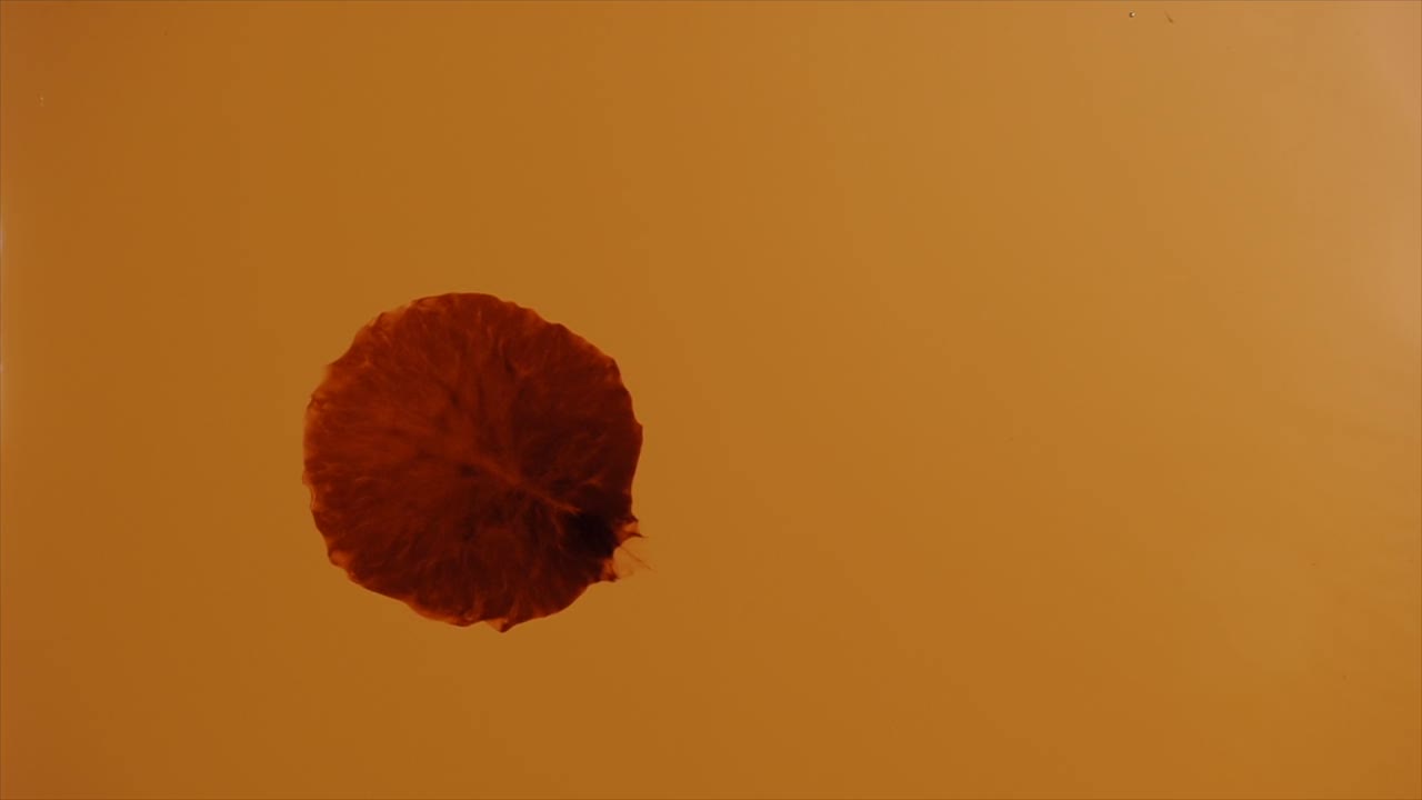 ¿estás de acuerdo en que el crecimiento de la agitación inofensiva puede ser encantador?