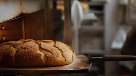 pulling freshly baked bread from the oven
