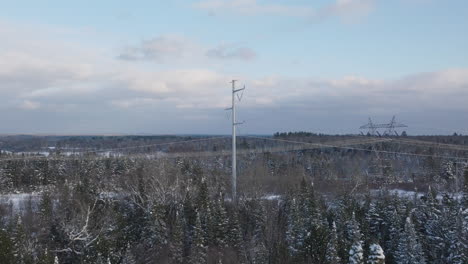 Líneas-Eléctricas-Aéreas-De-Alto-Voltaje-En-Un-Bosque-Invernal.