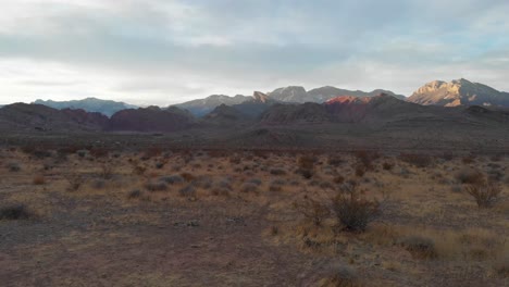 Joshua-tree-desert-trail