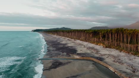 Aerial-landscape-view-of-wild-and-remote-coastline-with-native-NZ-rimu-trees,-driftwood-covered-beach-and-the-Tasman-Sea-in-Bruce-Bay,-South-Westland,-New-Zealand-Aotearoa