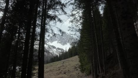 Scenic-View-Of-Dolomite-Mountains-Through-Tall-Pine-Trees-On-Slope-In-Italy