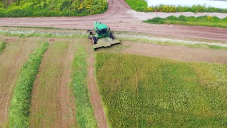 Combine-harvesting-Wheat-for-silage,-Aerial-view