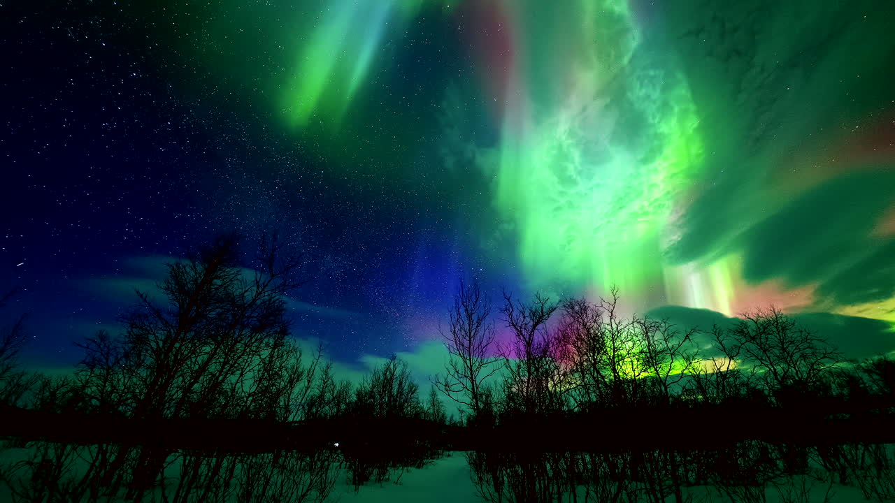Vakker time-lapse av nordlyset som danser over skogen i Kivijärvi, Finland. Strålende grønt og lilla lys lyser opp den arktiske nattehimmelen