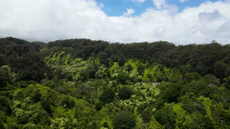Schöne-Naturlandschaft-Auf-Der-Tropischen-Hawaiianischen-Insel-Maui---Antenne