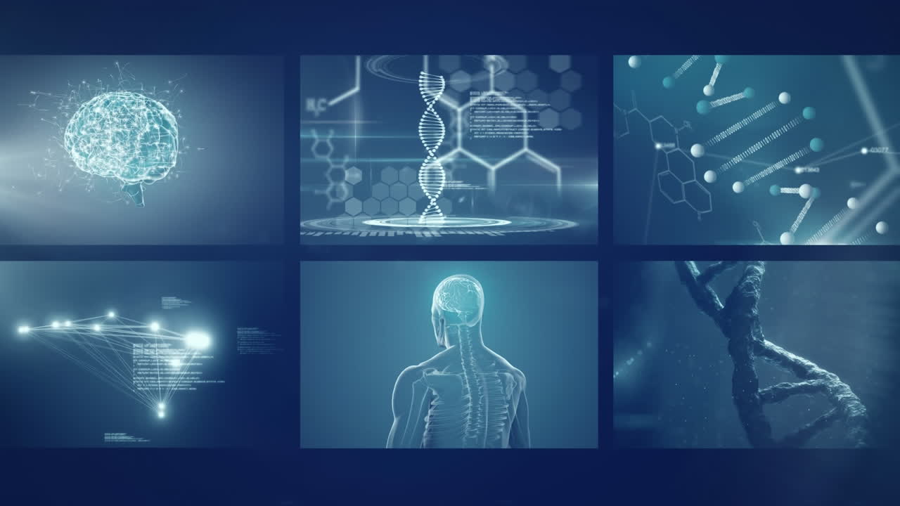 Digitally generated video of medical data processing