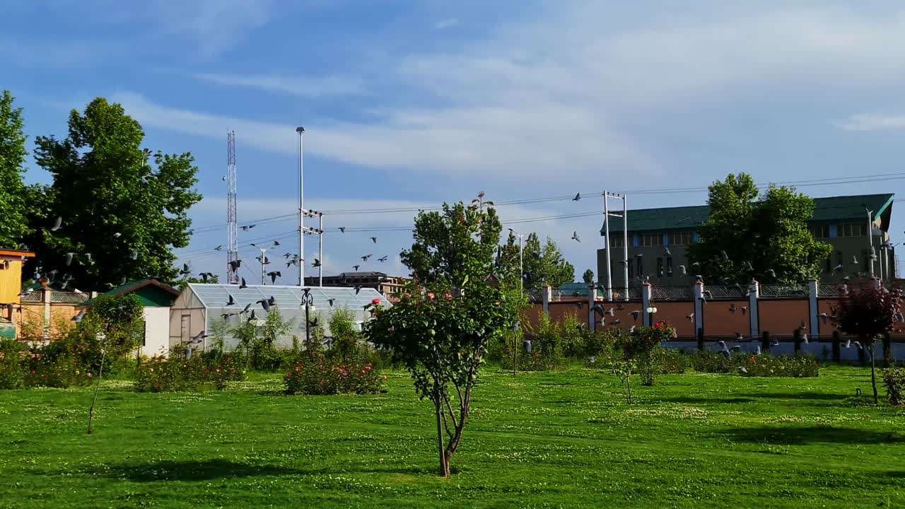 무리에 있는 새들이 흐린 하늘 아래 검은 구름을 타고 날고 있다