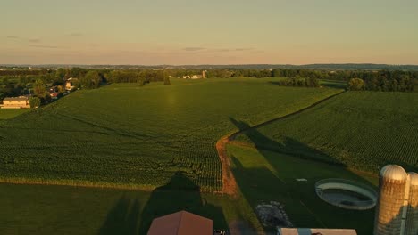 an aerial view of amish farms and fields during the golden hour on a late summer afternoon