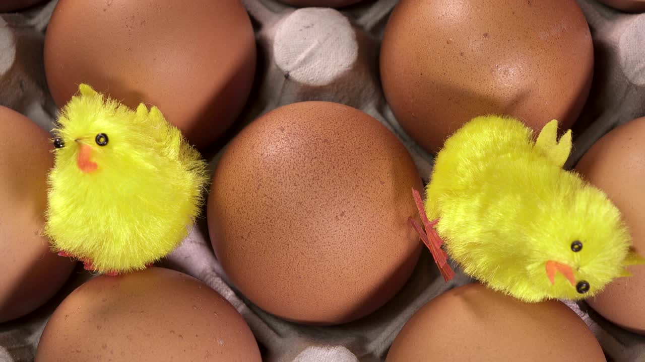 장난감 은 달 사이에 앉아 있습니다.