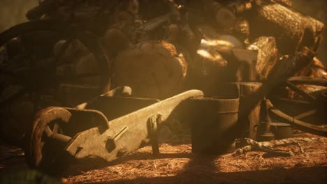 preparation of firewood for the winter in forest at sunset