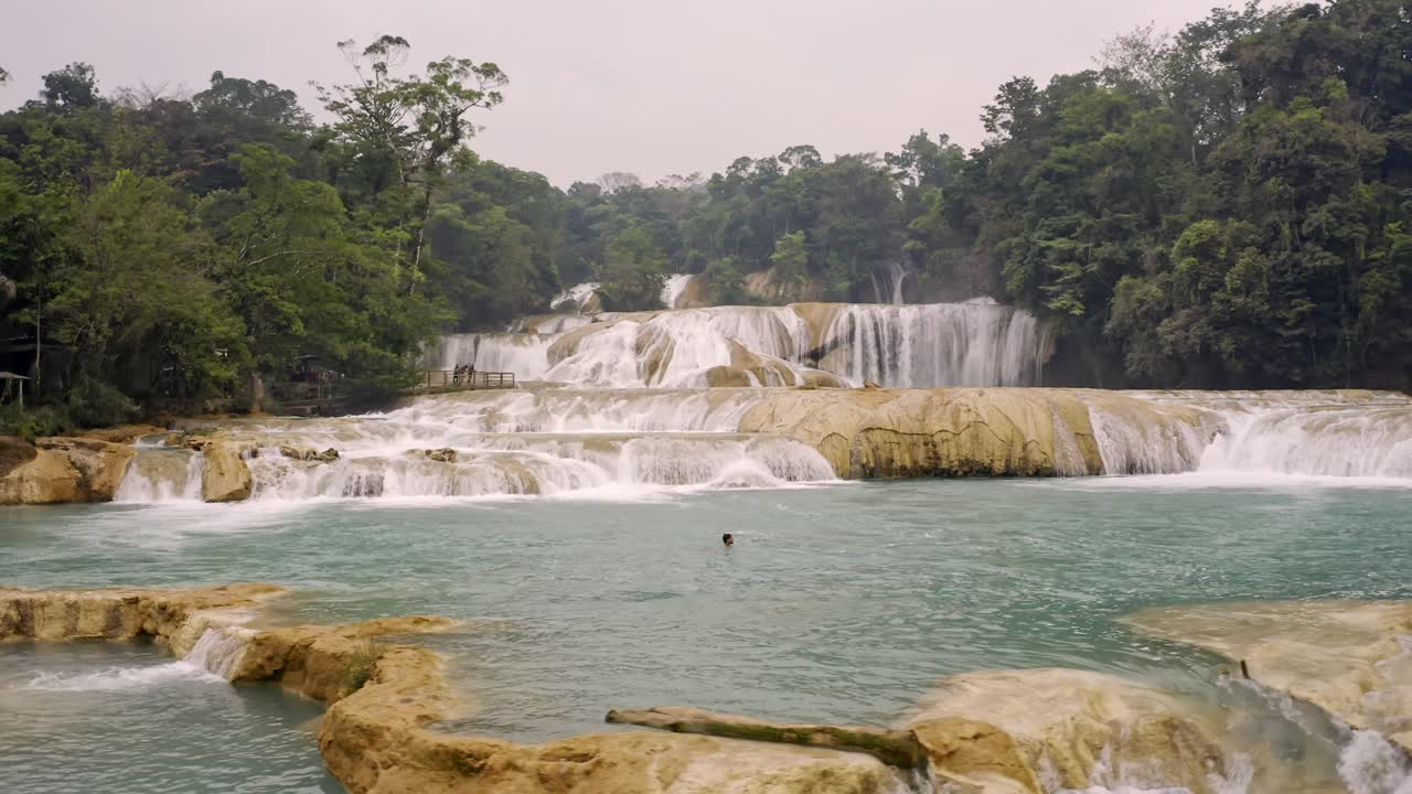 An aerial drone shot of man swimming in the Cascadas de Agua Azul in Chiapas, México, showing the brilliant turquoise water of a natural swimming pool